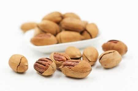 Are Pecans Healthy for Chickens
