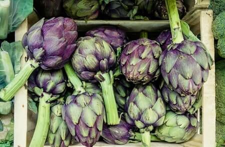 How to Feed Artichokes to Your Chickens