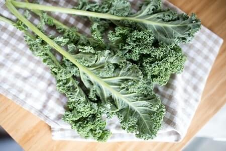 Is Kale Healthy for Chickens