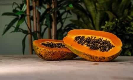 Is Papaya Healthy for Chickens