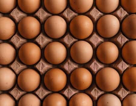 Red Star Chicken Egg Color Size and Production