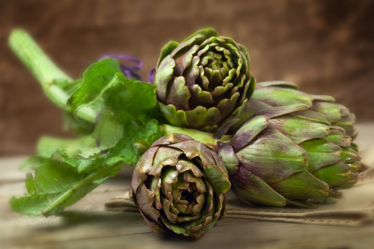 Artichoke on a table close-up.