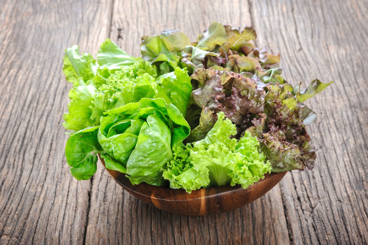 A wooden bowl full of organic lettuce on a wooden table.