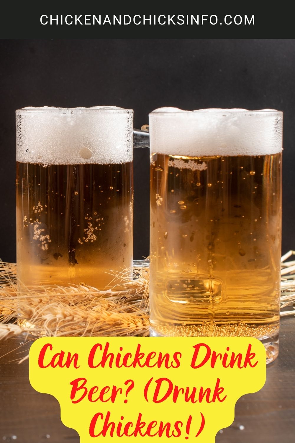 Can Chickens Drink Beer? (Drunk Chickens!) poster.
