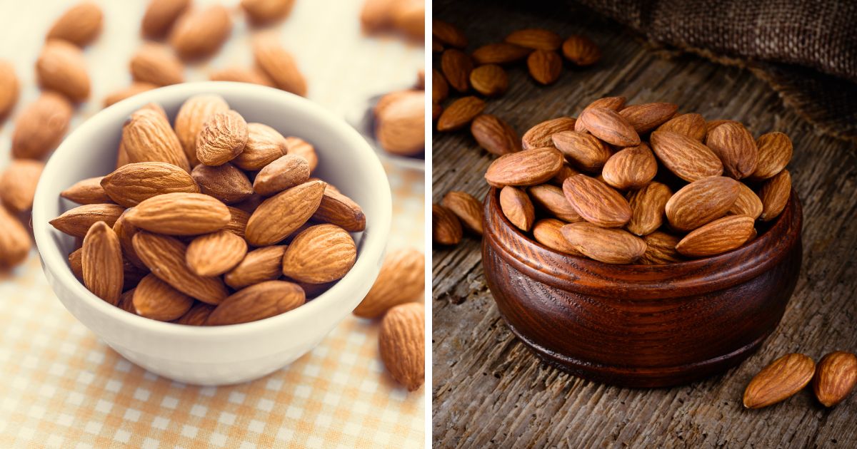 Can Chickens Eat Almonds? (+ Other Nuts) Chicken & Chicks Info