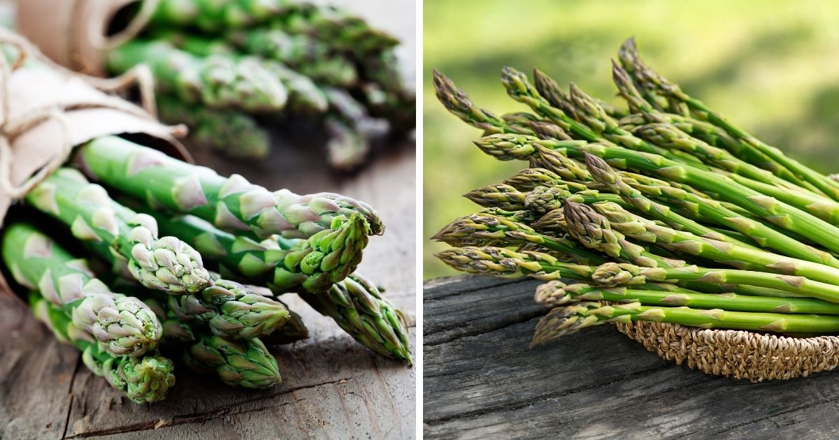 Can Chickens Eat Asparagus? (Benefits/How to Feed) - Chicken & Chicks Info