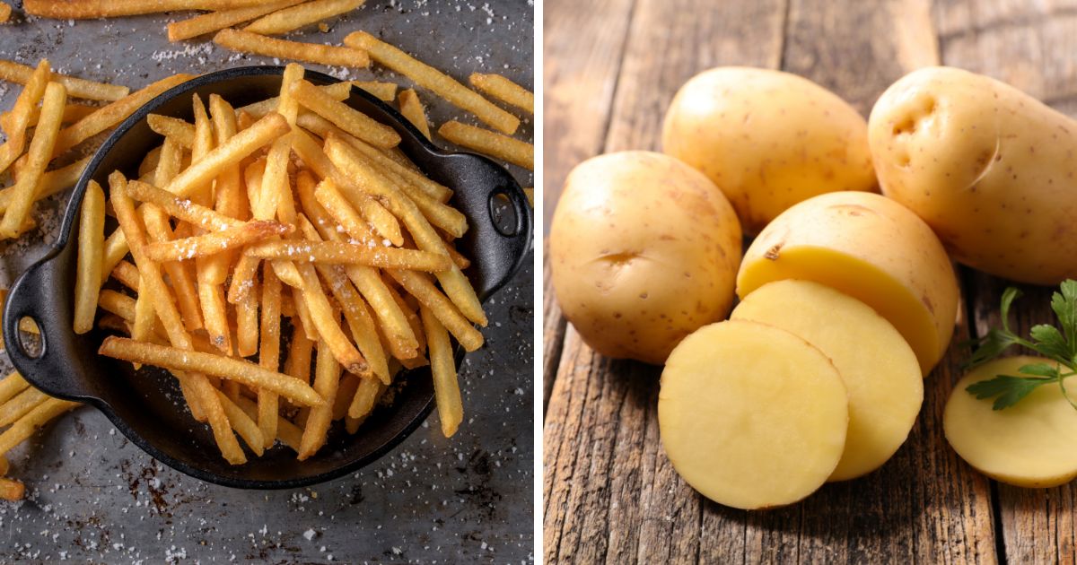 Can Chickens Eat French Fries? (Video Included) Chicken & Chicks Info