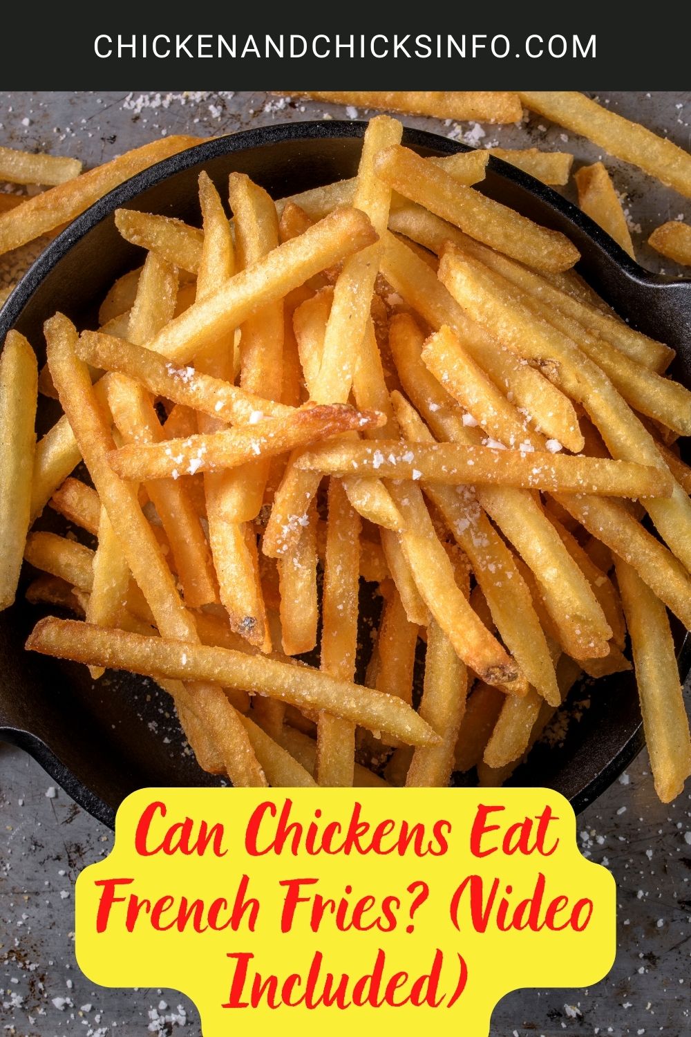 Can Chickens Eat French Fries? (Video Included) poster.
