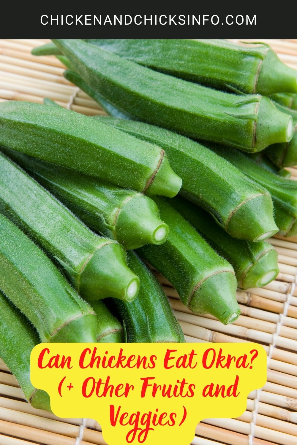 Can Chickens Eat Okra? (+ Other Fruits and Veggies) poster.
