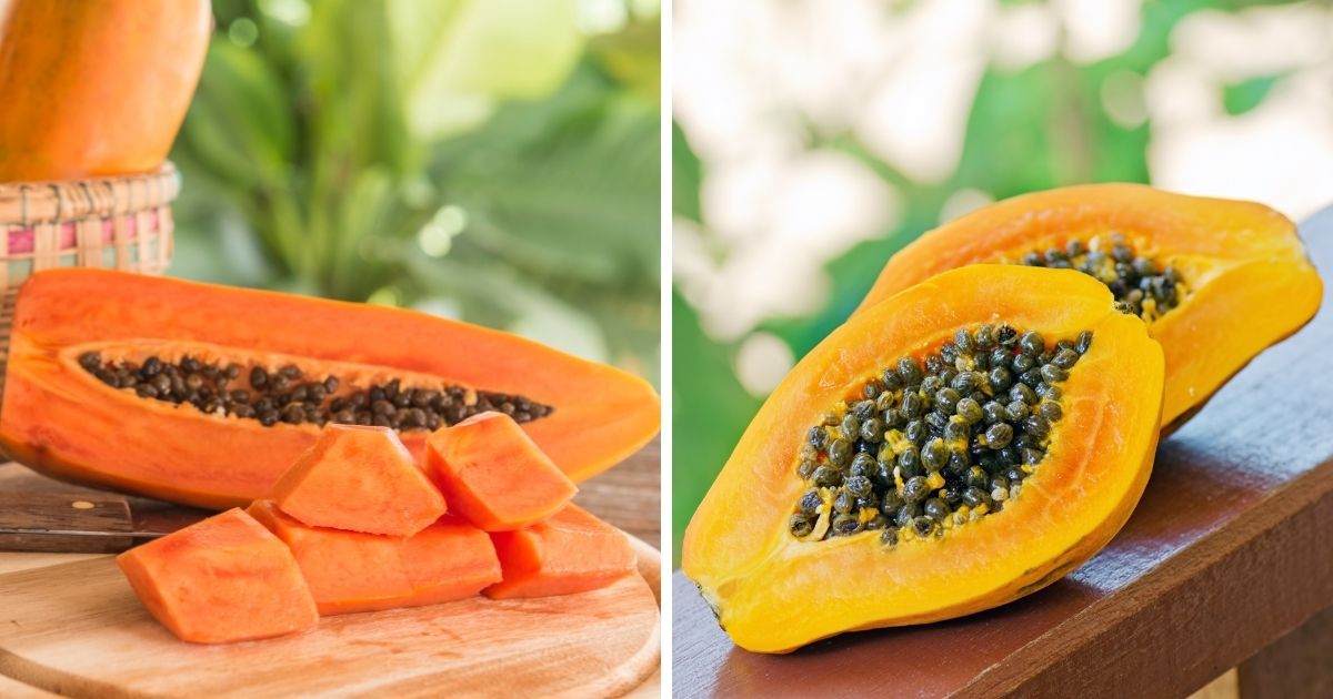 Can Chickens Eat Papaya? (+ Benefits of Fruits & Veggies) Chicken