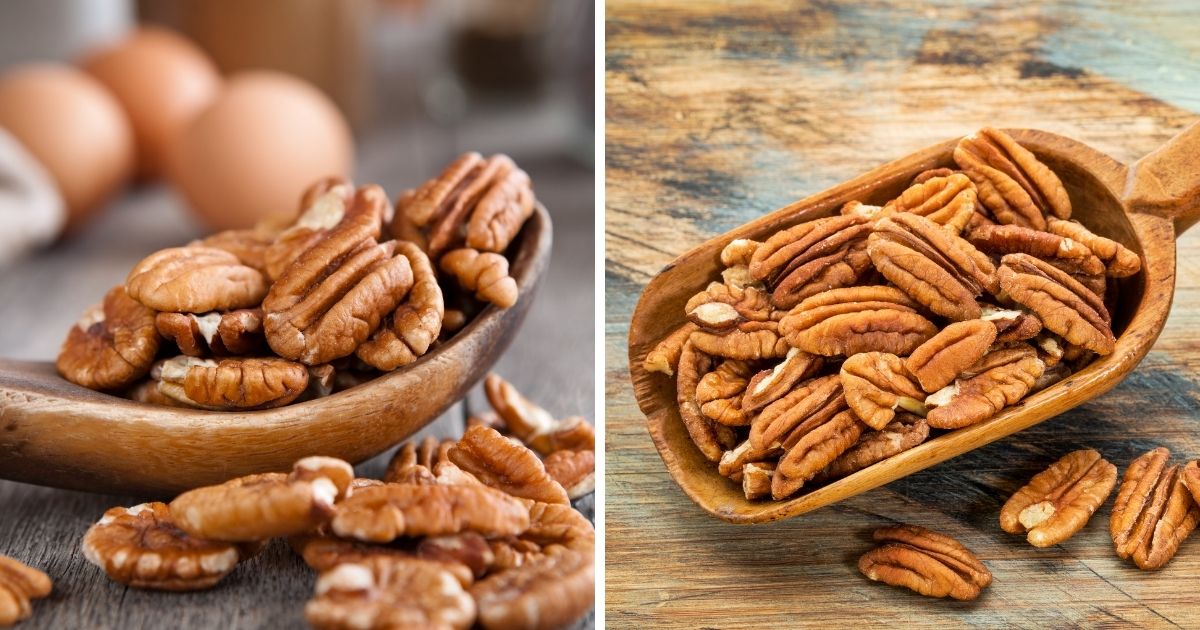 Can Chickens Eat Pecans? (+ Other Nuts) Chicken & Chicks Info