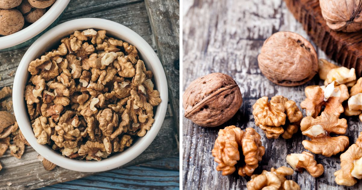 Can Chickens Eat Walnuts? (+ Other Nuts) Chicken & Chicks Info