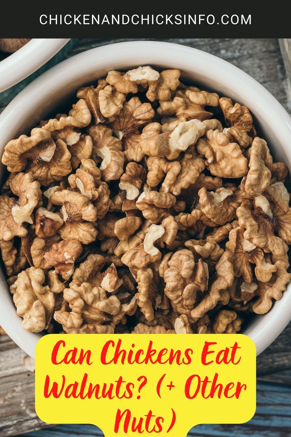 Can Chickens Eat Walnuts? (+ Other Nuts) poster.
