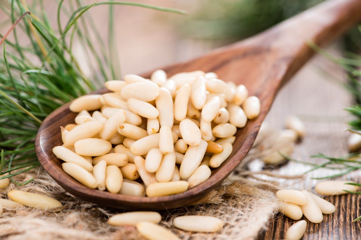 A wooden spoon full of pine nuts.