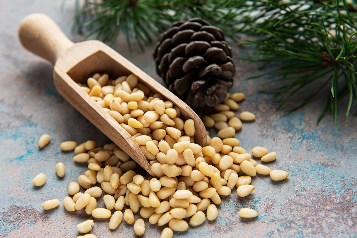 Wooden spoon full of pine nuts, pienal, and scattered pine nuts on the table.