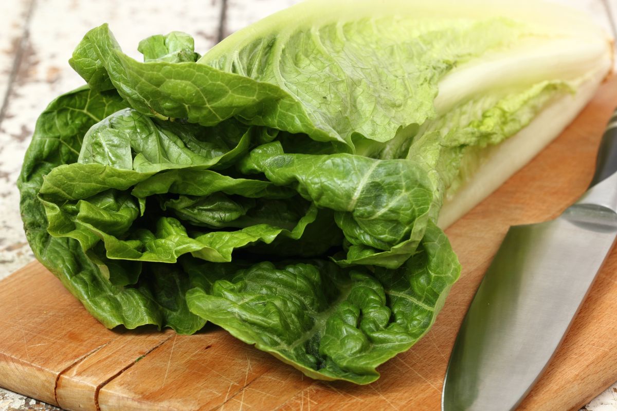 Fresh, clean romaine lettuce on a wooden cutting board with a knife.