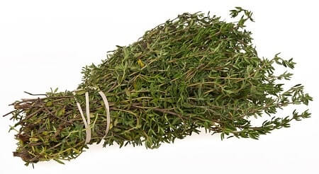 How Should You Feed Thyme to Your Chickens