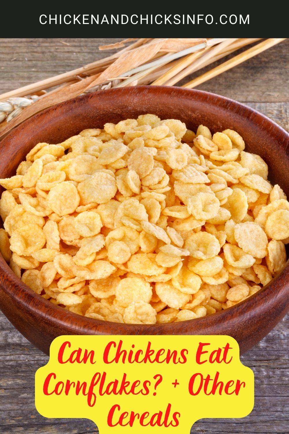 Can Chickens Eat Cornflakes? + Other Cereals poster.
