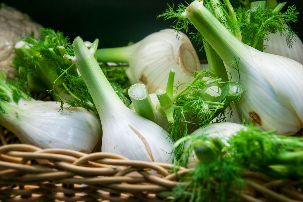 A basket full of fresh organic fennels.