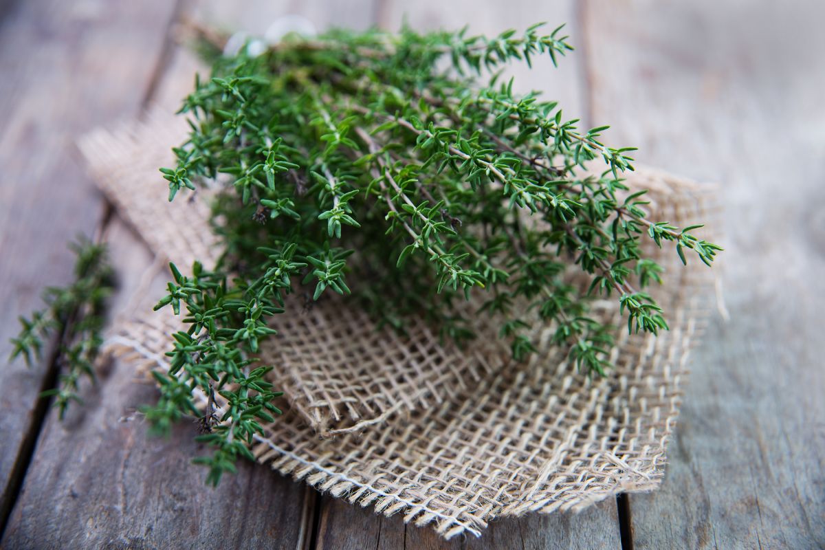 Fresh thyme on a wooden table.