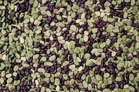 Are Lima Beans Healthy for Chickens