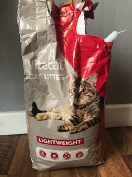 Why You Can't Use Cat Litter for a Chicken Dust Bath