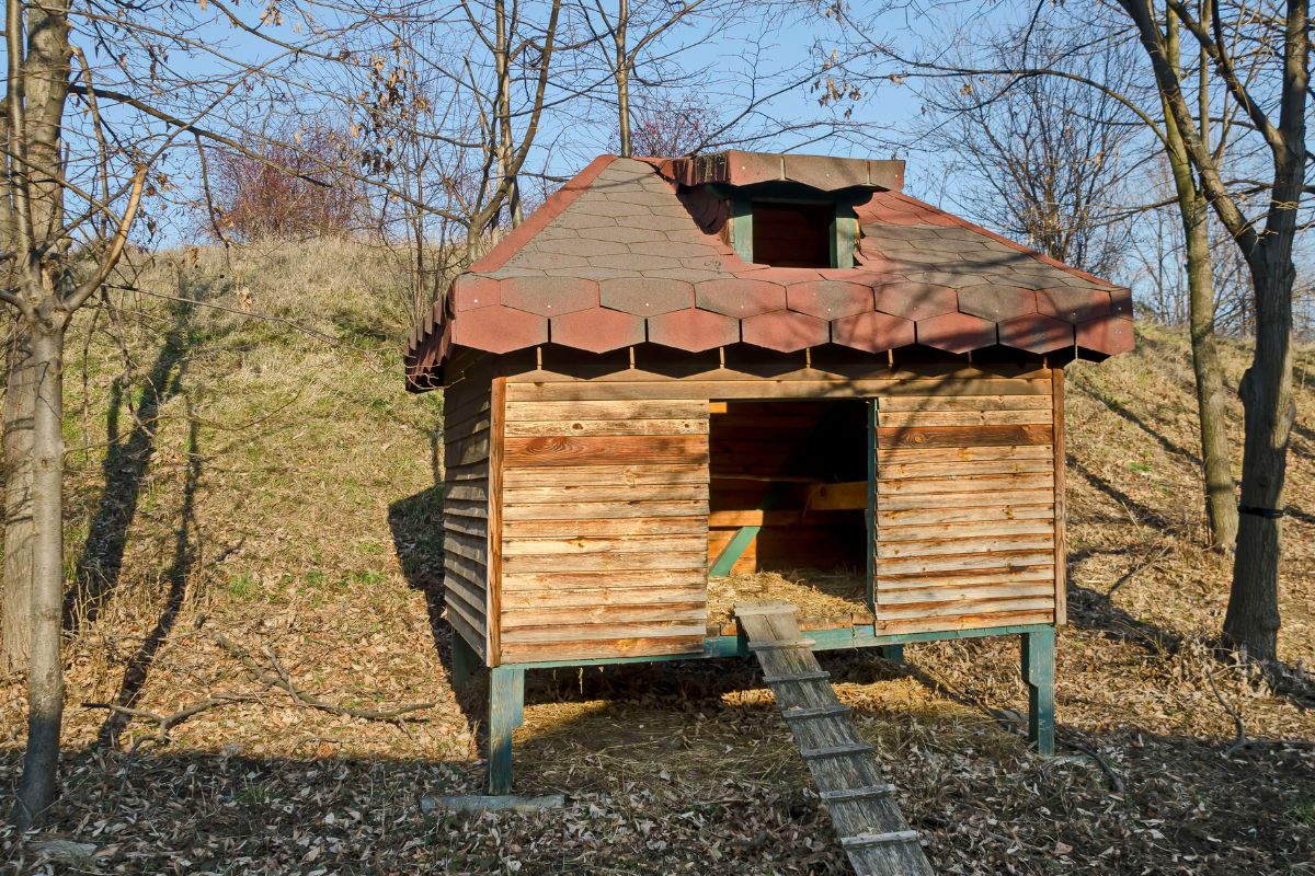 A wooden chicken coop in a backyard.