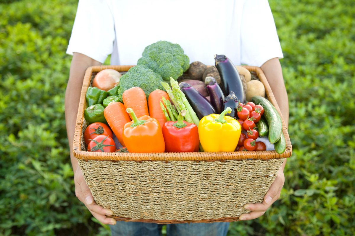 A farmer holding a basket full of different varieties of vegetables.