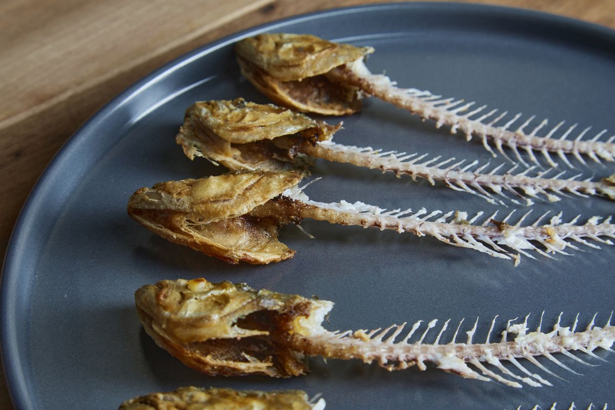 A bunch of fish bones on a plate.