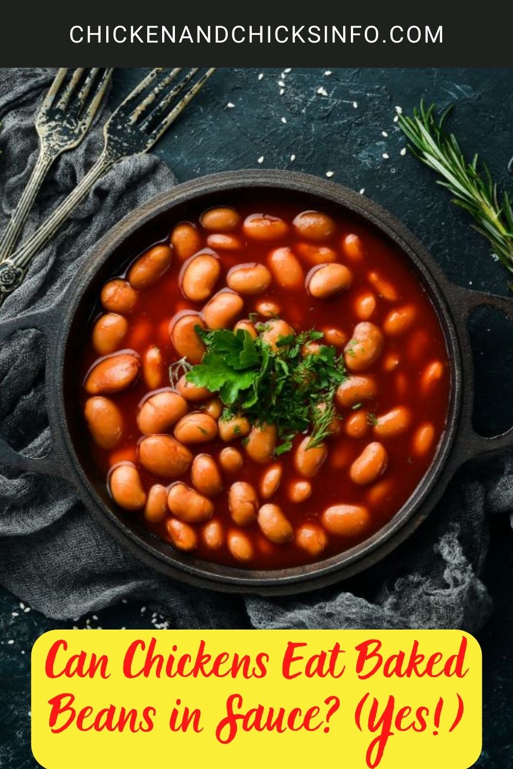 Can Chickens Eat Baked Beans in Sauce? (Yes!) poster.
