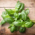 Fresh basil leaves on a wooden table.