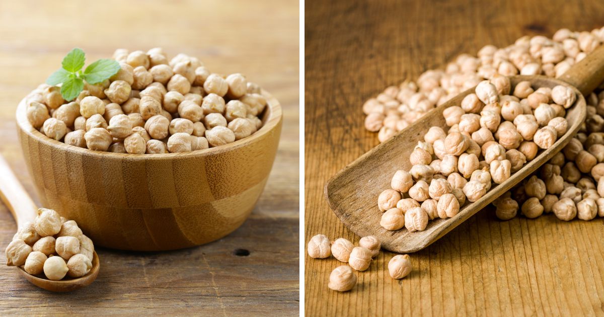 Can Chickens Eat Chickpeas? (Important Safety Advice) Chicken & Chicks Info