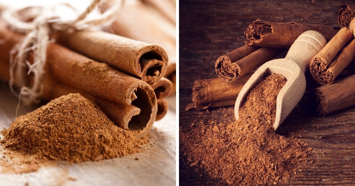 Can Chickens Eat Cinnamon? (My Favorite Spice) Chicken & Chicks Info