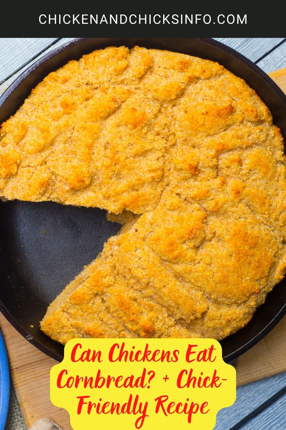 Can Chickens Eat Cornbread? + Chick-Friendly Recipe poster.
