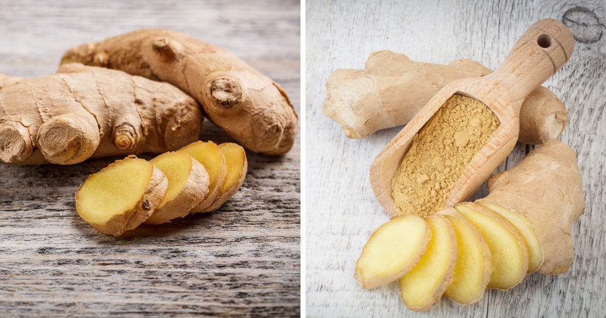 Can Chickens Eat Ginger? (Spices for Chickens!) Chicken & Chicks Info