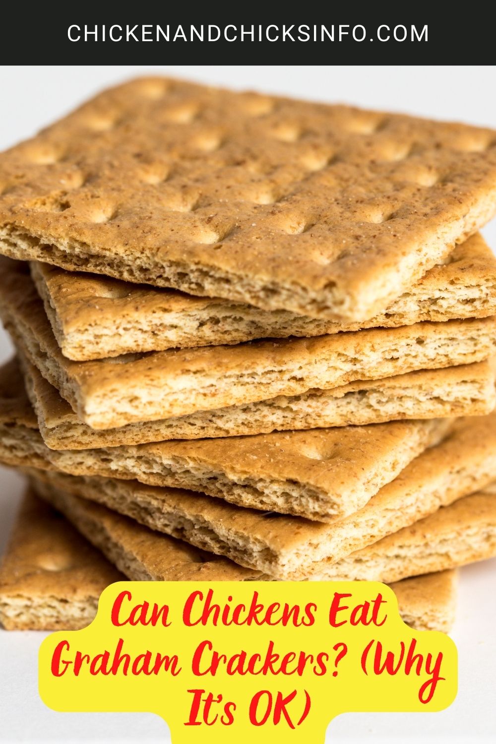 Can Chickens Eat Graham Crackers? (Why It's OK) poster.
