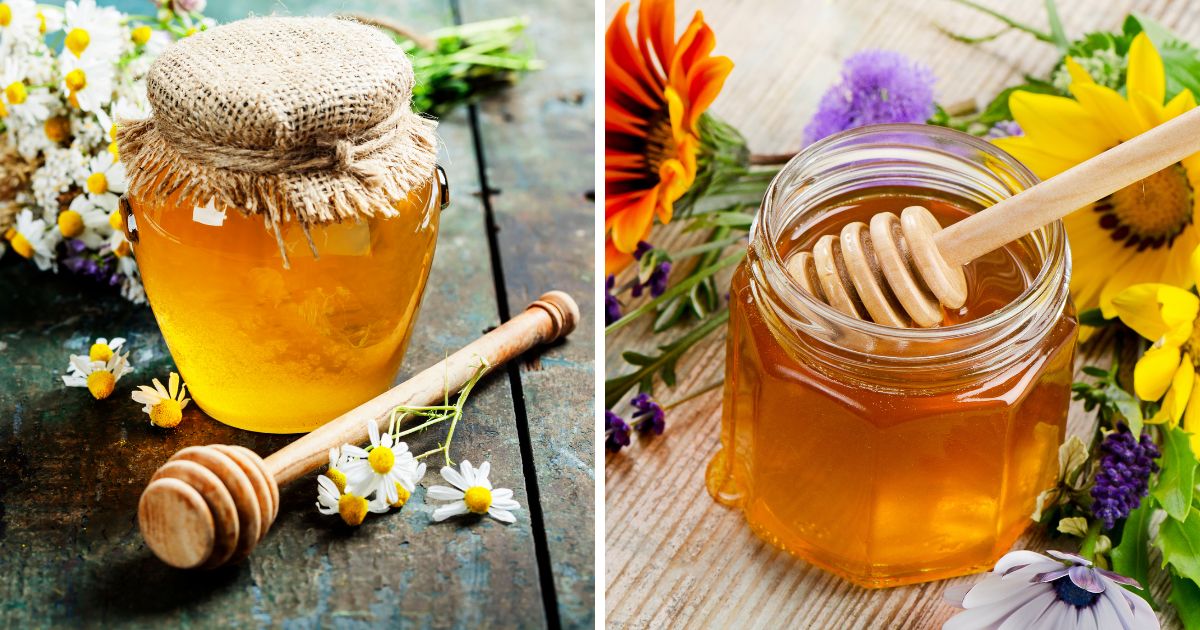 Can Chickens Eat Honey? (Surprising Health Benefits!) Chicken