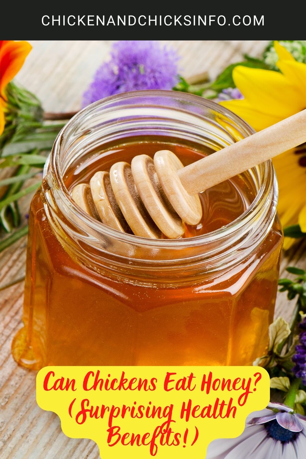 Can Chickens Eat Honey? (Surprising Health Benefits!) poster.
