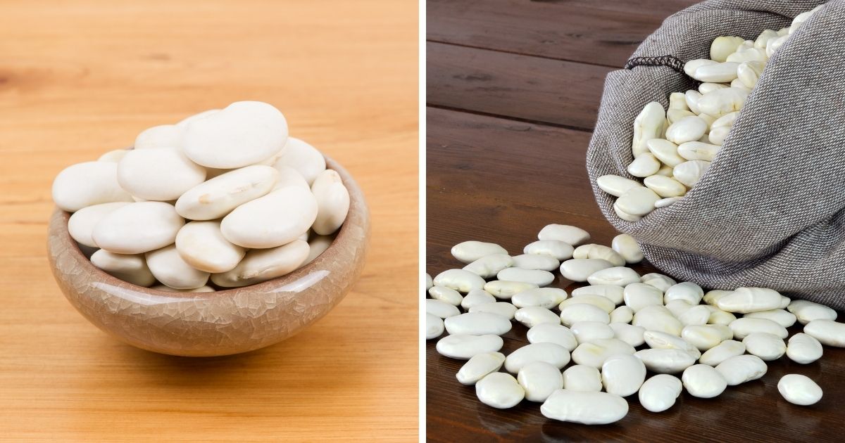 Can Chickens Eat Lima Beans? (Potentially Toxic!) Chicken & Chicks Info