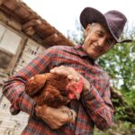 A farmer holding and petting a brown chicken.