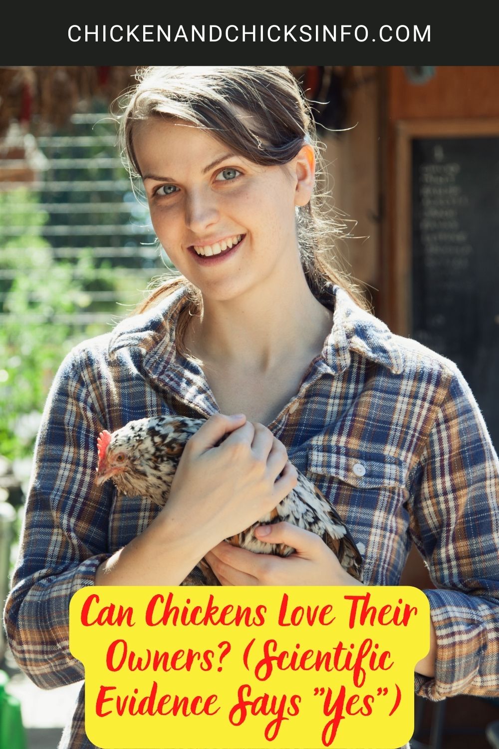 Can Chickens Love Their Owners? (Scientific Evidence Says "Yes") poster.
