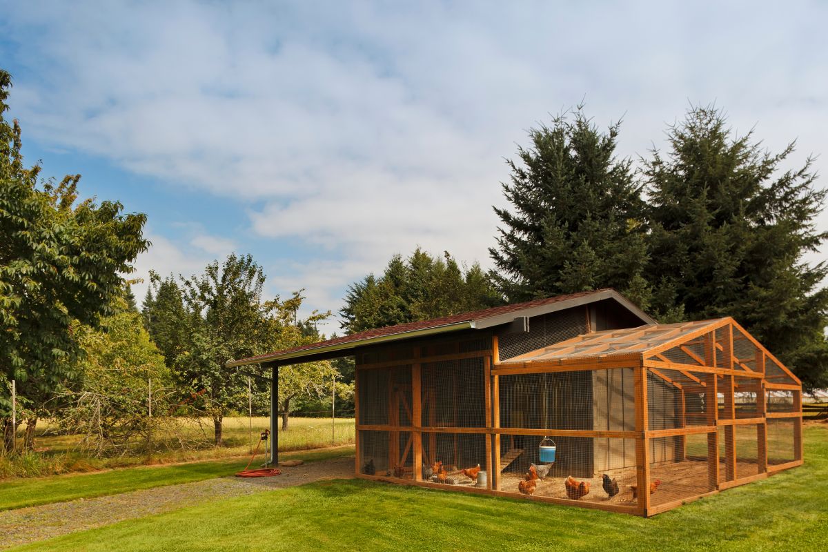 A big wooden chicken coop in a backyard.