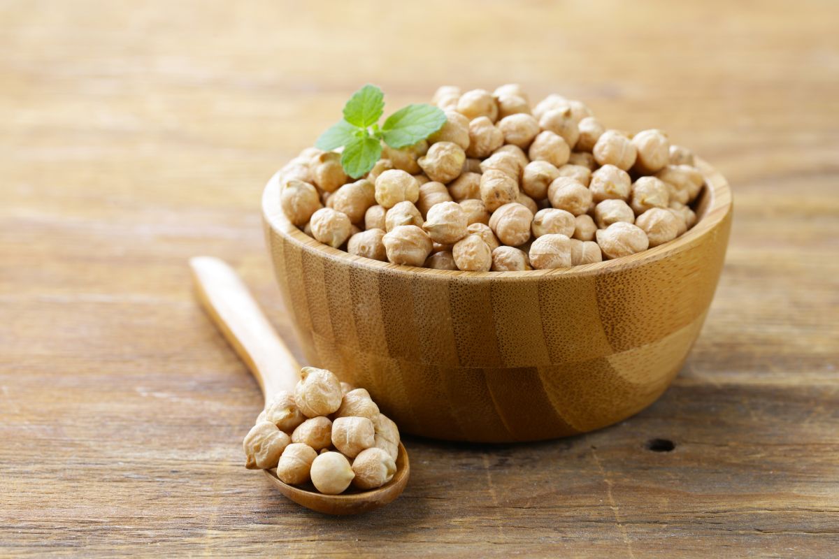 A wooden bowl of fresh chickpeas and a wooden spoon full of chickpeas on a wooden table. 