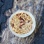 A glass jar full of maggots on a wooden log.