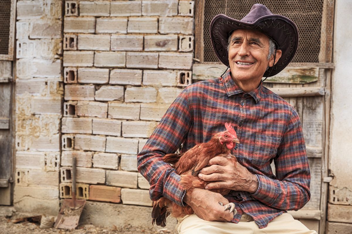 A farmer holding and petting a brown chicken.