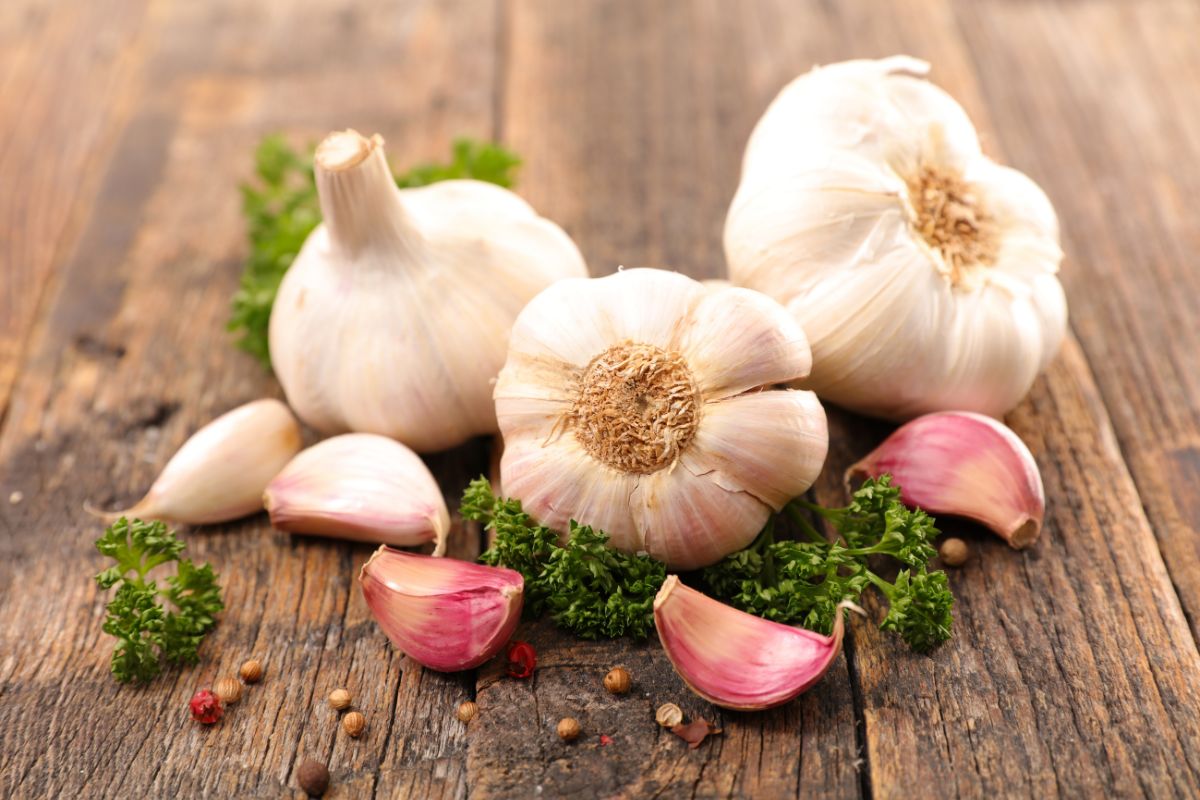 A whole garlic and cloves of garlic on a wooden table.