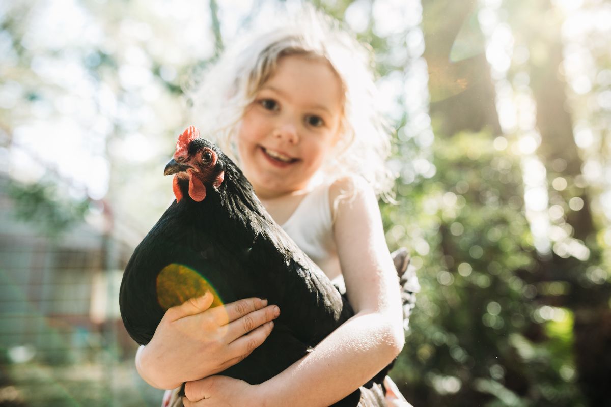 A young girl holding a black chicken.