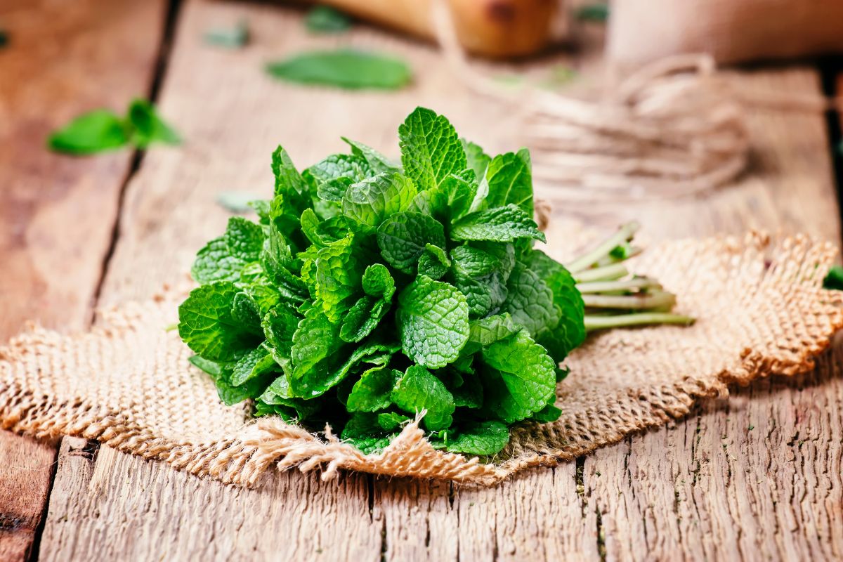 Fresh mint leaves on a wooden table.