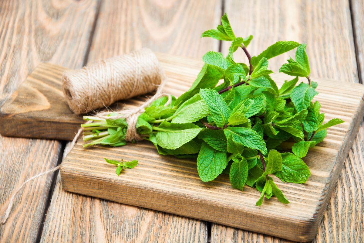 Fresh ming leaves on a wooden cutting board with a string on a wooden table.