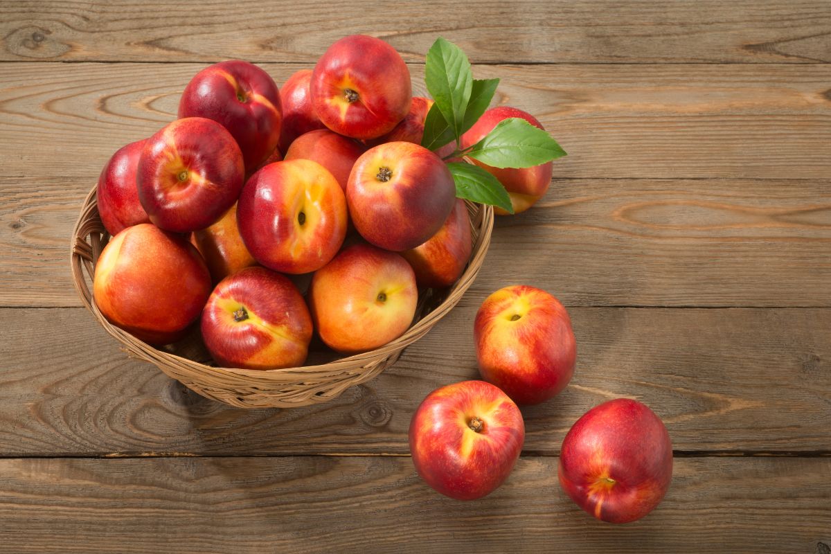 A basket full of organic nectarines on a wooden table.